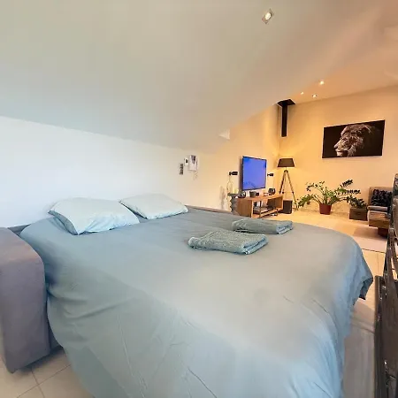 Prestige Hyper Centre Veranda Climatisation Apartamento