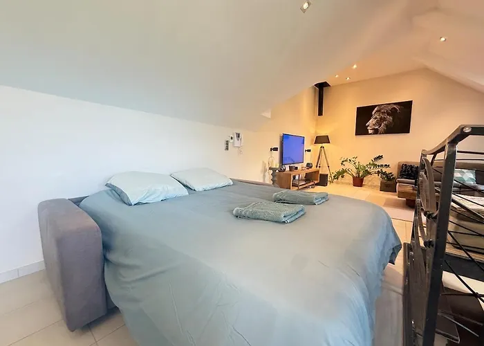 Prestige Hyper Centre Veranda Climatisation Appartamento
